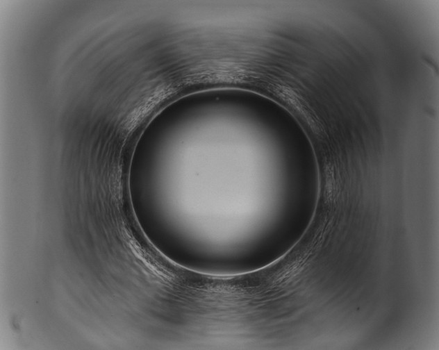 X0000100970677200806241552
