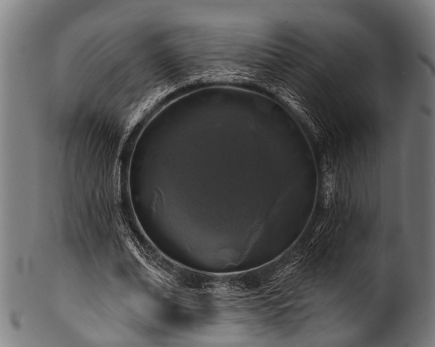 X0000100970678200806241552
