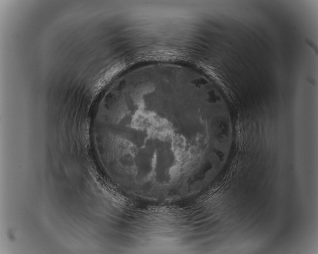 X0000100970679200806241551