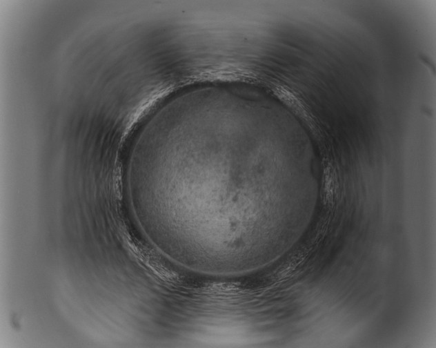 X0000100970680200806241551