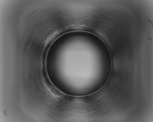 X0000100970682200806241551