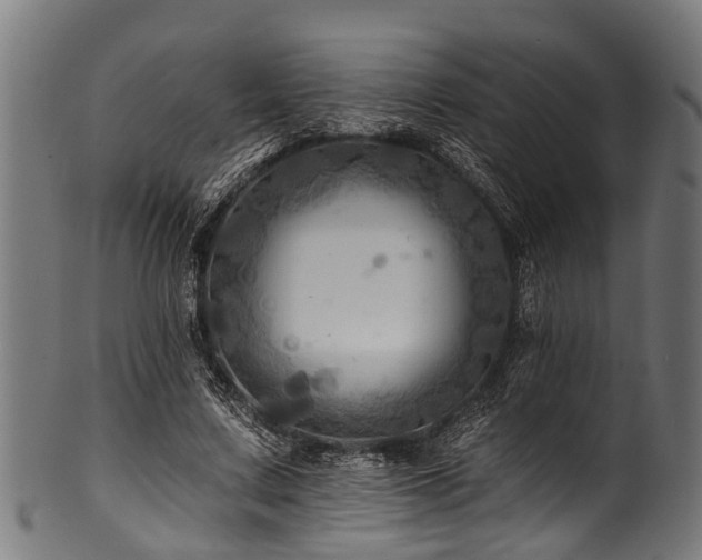 X0000100970683200806241551