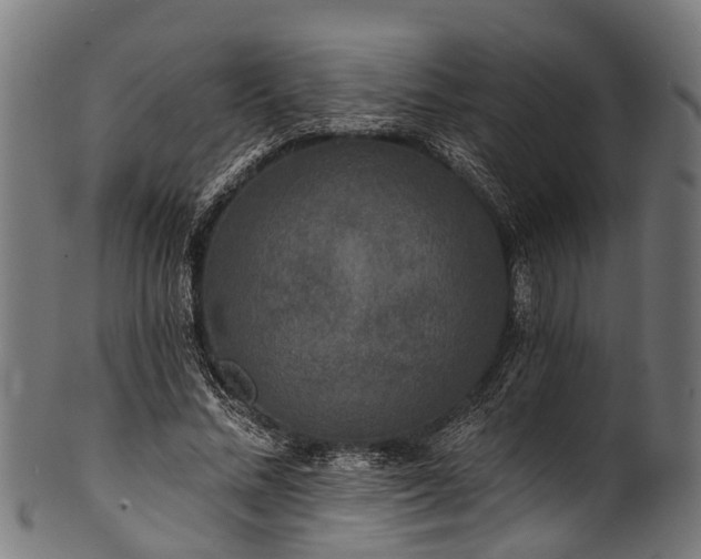 X0000100970684200806241551