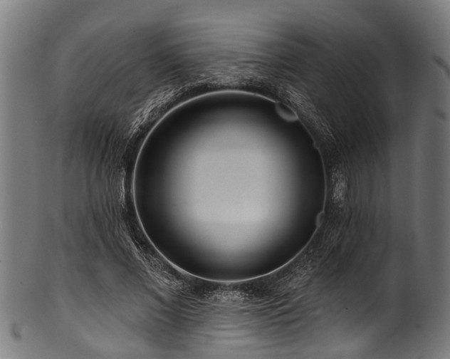 X0000100970685200806241551