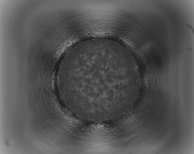 X0000100970687200806241551