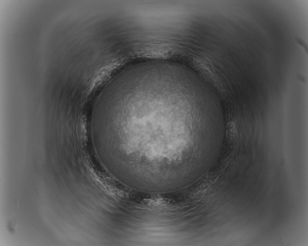 X0000100970688200806241551