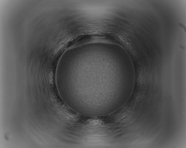 X0000100970689200806241551