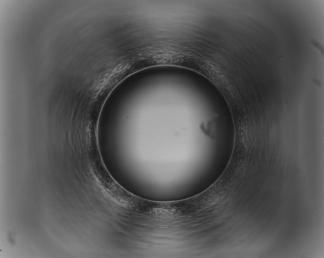 X0000100970690200806241551