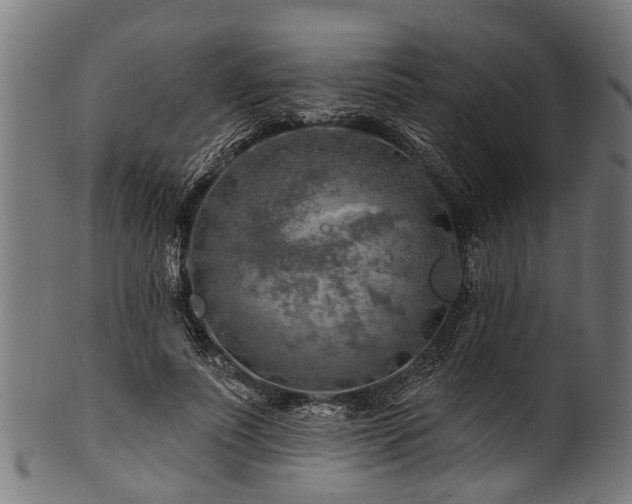 X0000100970691200806241551
