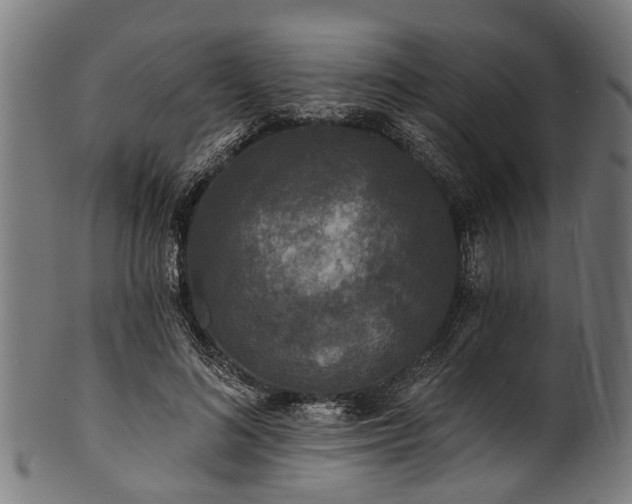 X0000100970692200806241551