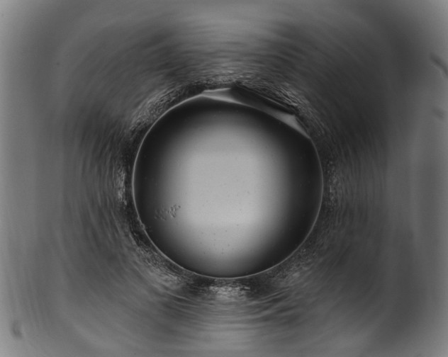 X0000100970693200806241551