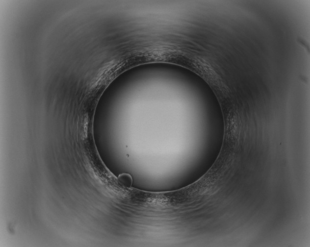 X0000100970694200806241551