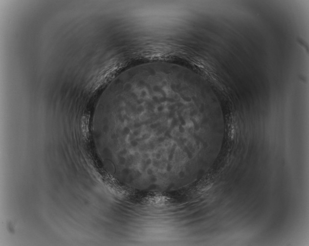 X0000100970695200806241551