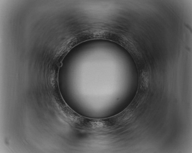 X0000100970698200806241551