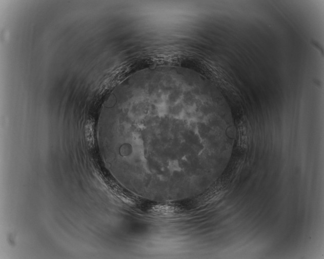 X0000100970699200806241551