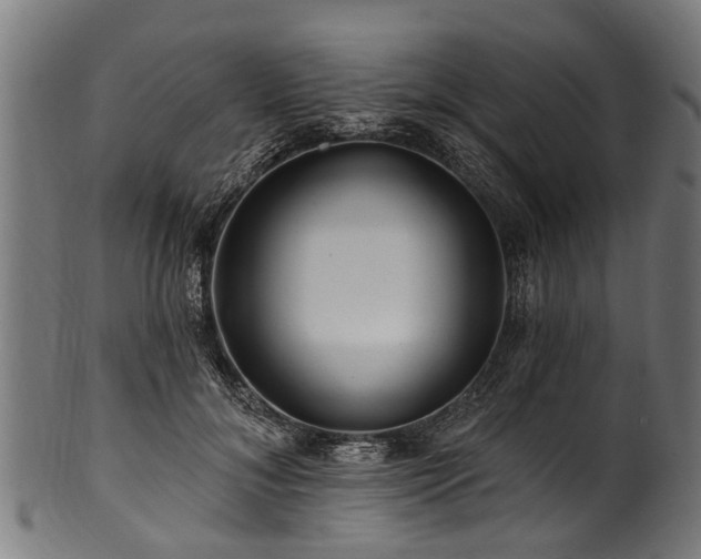 X0000100970700200806241551