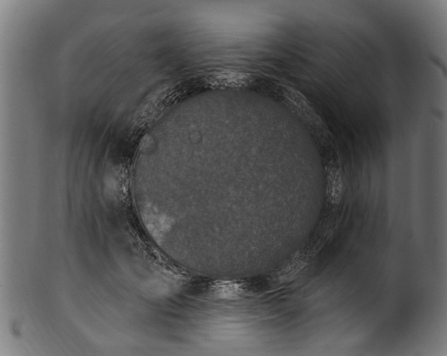 X0000100970701200806241551