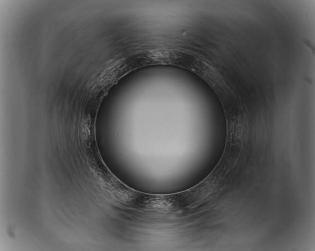 X0000100970702200806241551