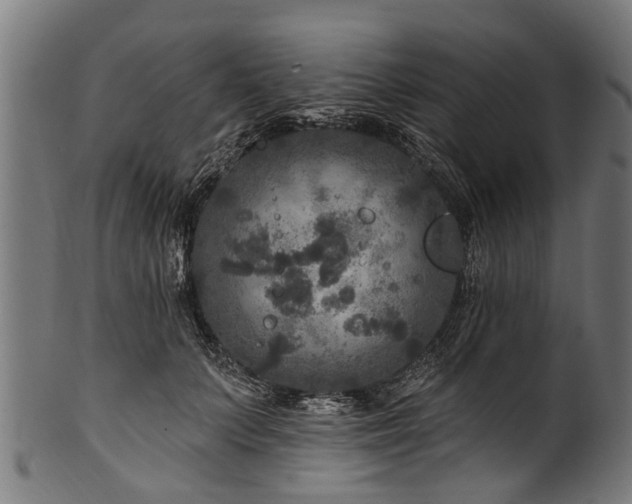 X0000100970703200806241551