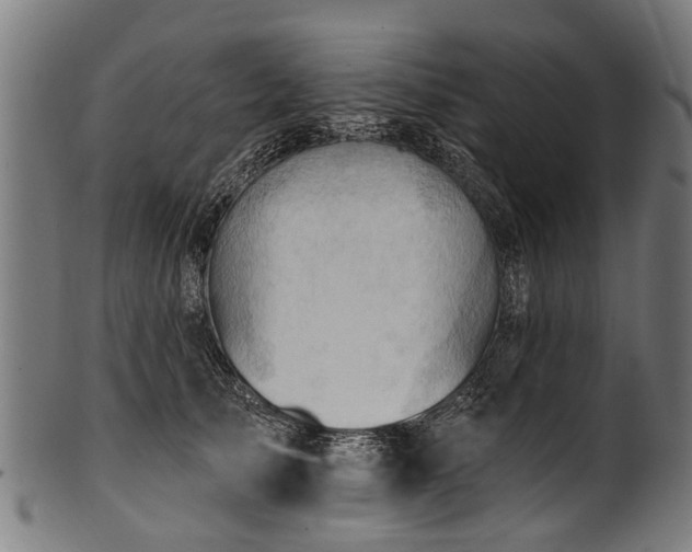 X0000100970705200806241551