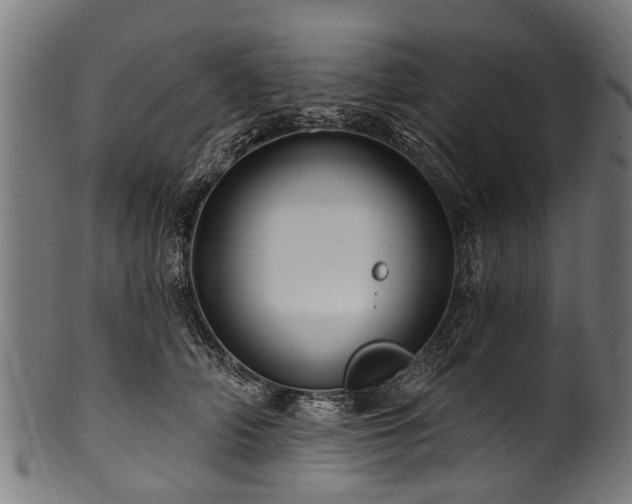 X0000100970706200806241551