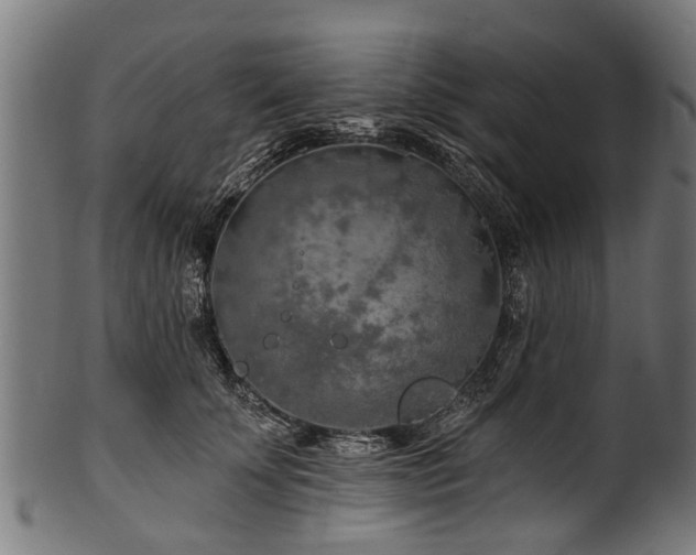 X0000100970707200806241551