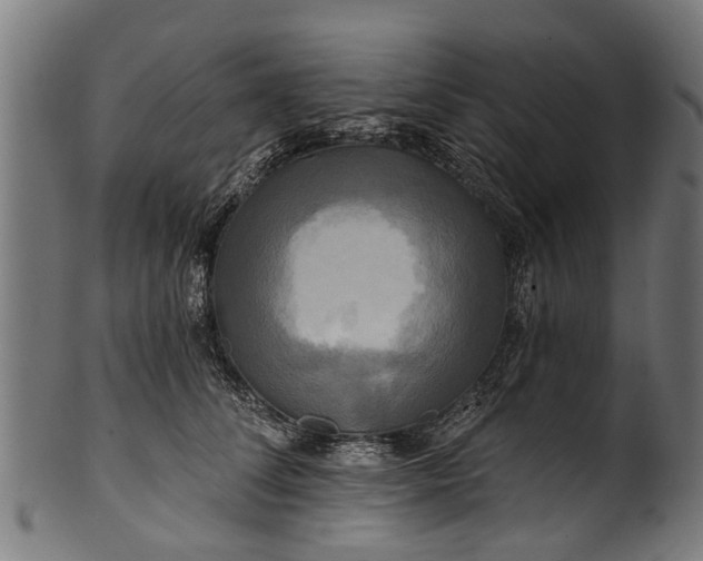 X0000100970708200806241551