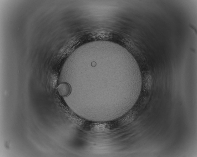X0000100970709200806241551