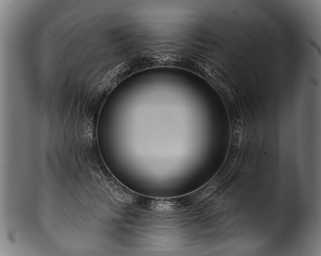 X0000100970710200806241551