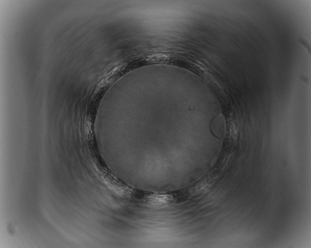 X0000100970711200806241551