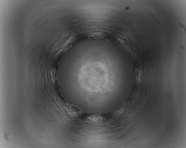 X0000100970712200806241551