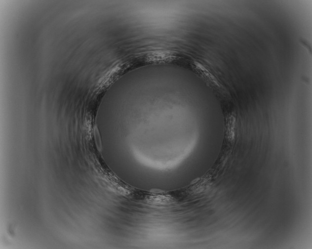 X0000100970716200806241551