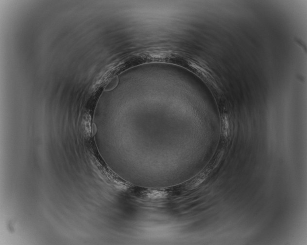 X0000100970718200806241551