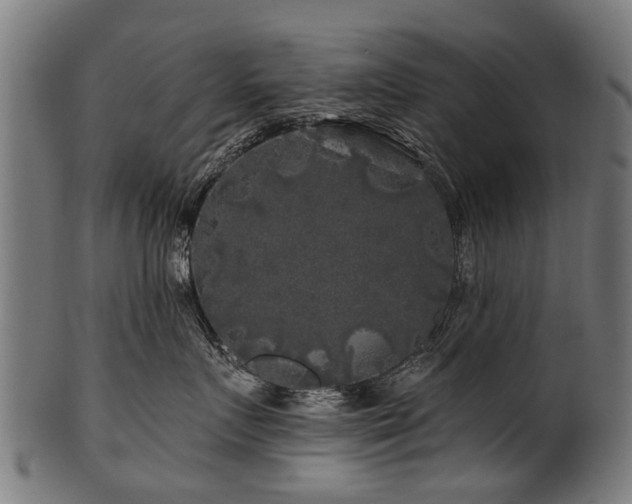 X0000100970719200806241551