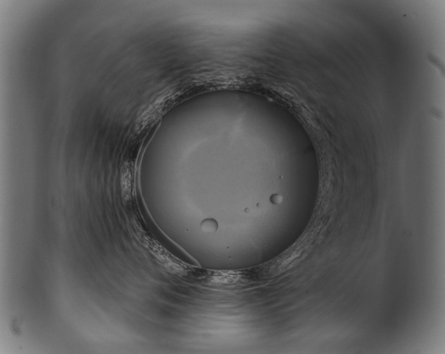 X0000100970720200806241551