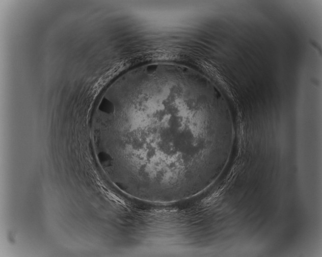 X0000100970721200806241550