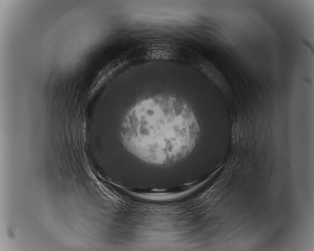 X0000100970722200806241550