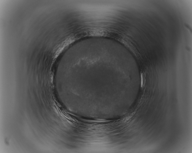 X0000100970723200806241550