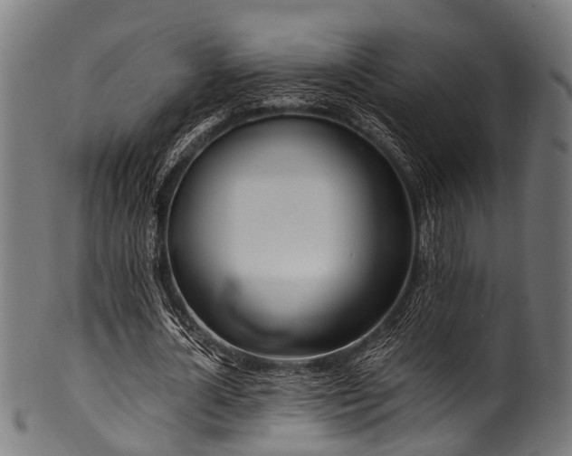 X0000100970724200806241550