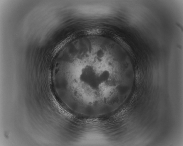 X0000100970725200806241550