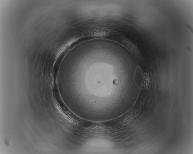 X0000100970726200806241550