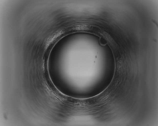 X0000100970727200806241550