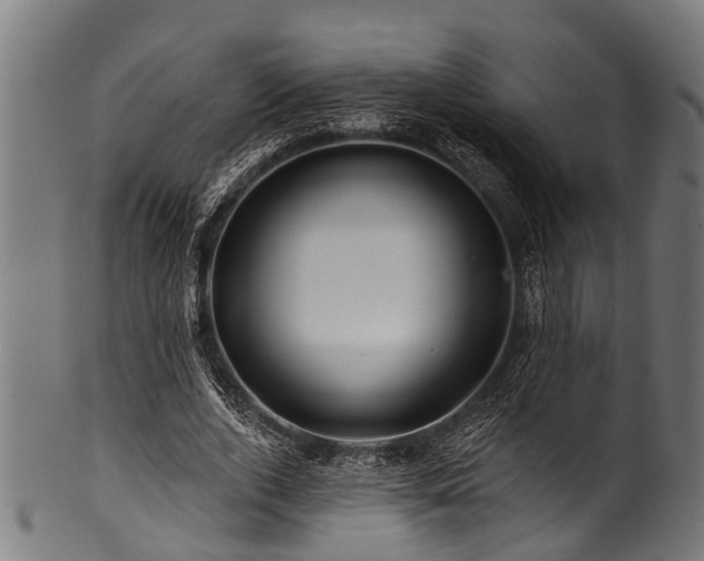 X0000100970728200806241550