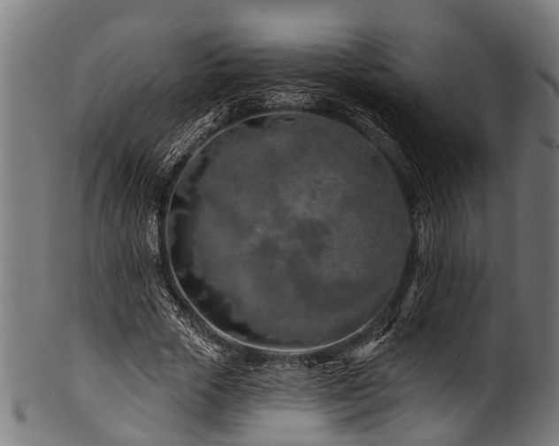 X0000100970729200806241550