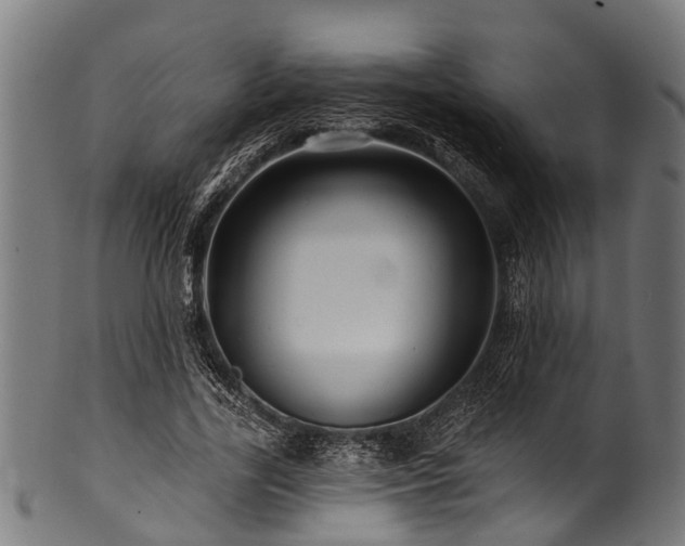 X0000100970731200806241550