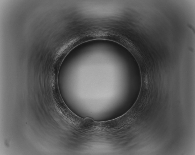 X0000100970732200806241550