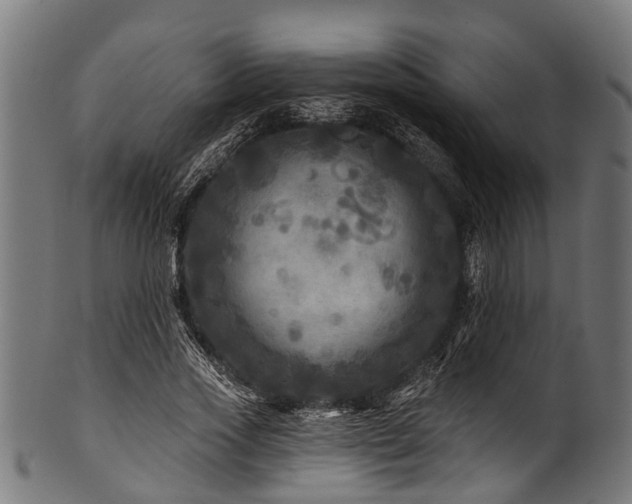 X0000100970733200806241550