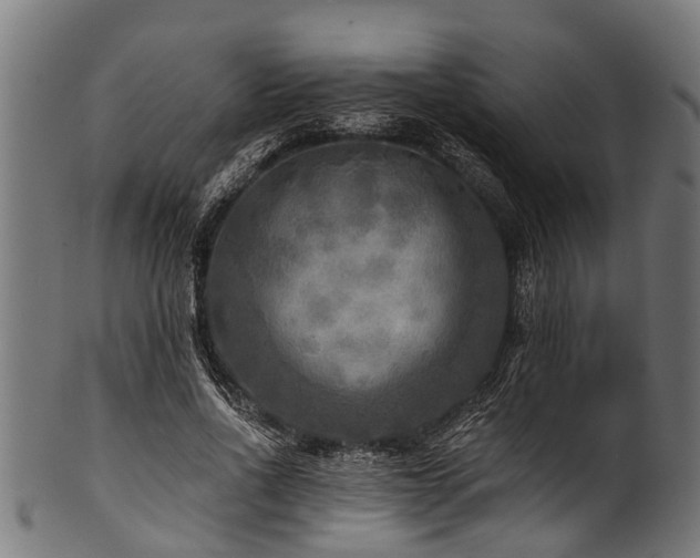 X0000100970734200806241550