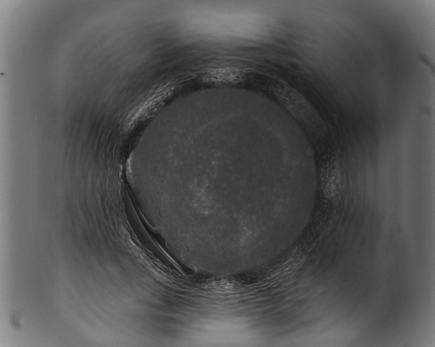 X0000100970735200806241550