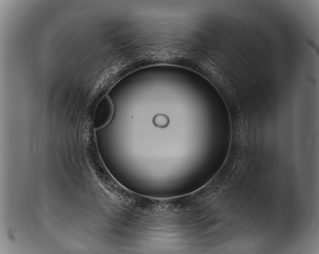 X0000100970736200806241550